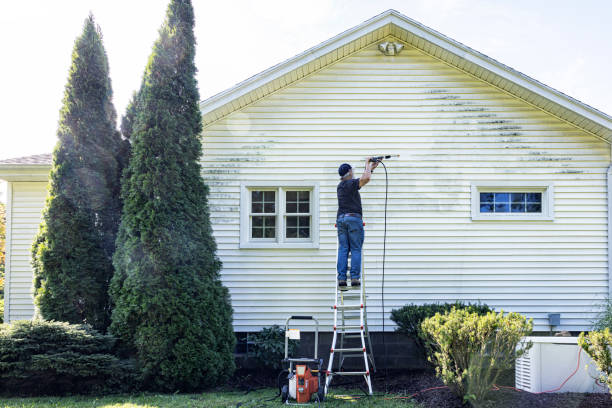 Best Affordable Power Washing  in Oxford, MI